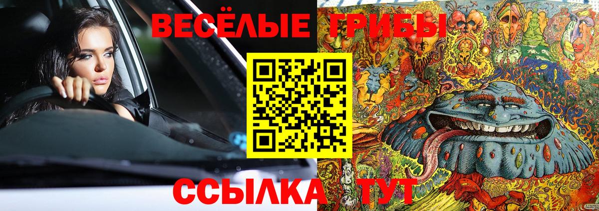 Полысаево  Галлюциногенные грибы MAGIC MUSHROOMS  Вход с VPN 