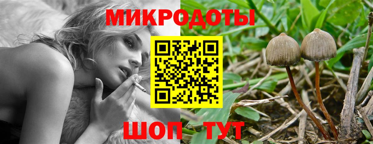 Галлюциногенные грибы GOLDEN TEACHER Полысаево